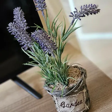 Greta Apartment Hajduszoboszlo
