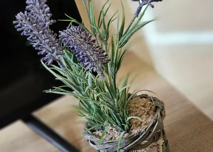 Greta Apartman Hajdúszoboszló